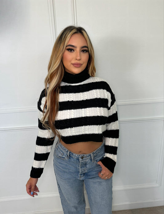 Sweater Weather Crop Sweater